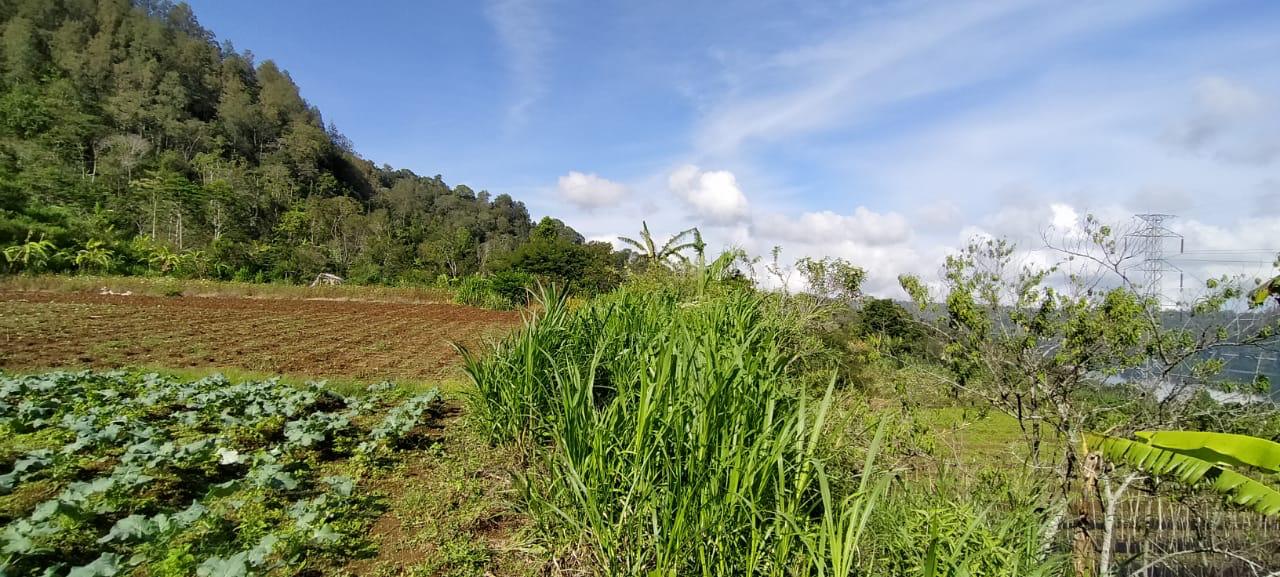 FLTabanan54  |  Indo Investments